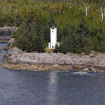 Tree Point Light